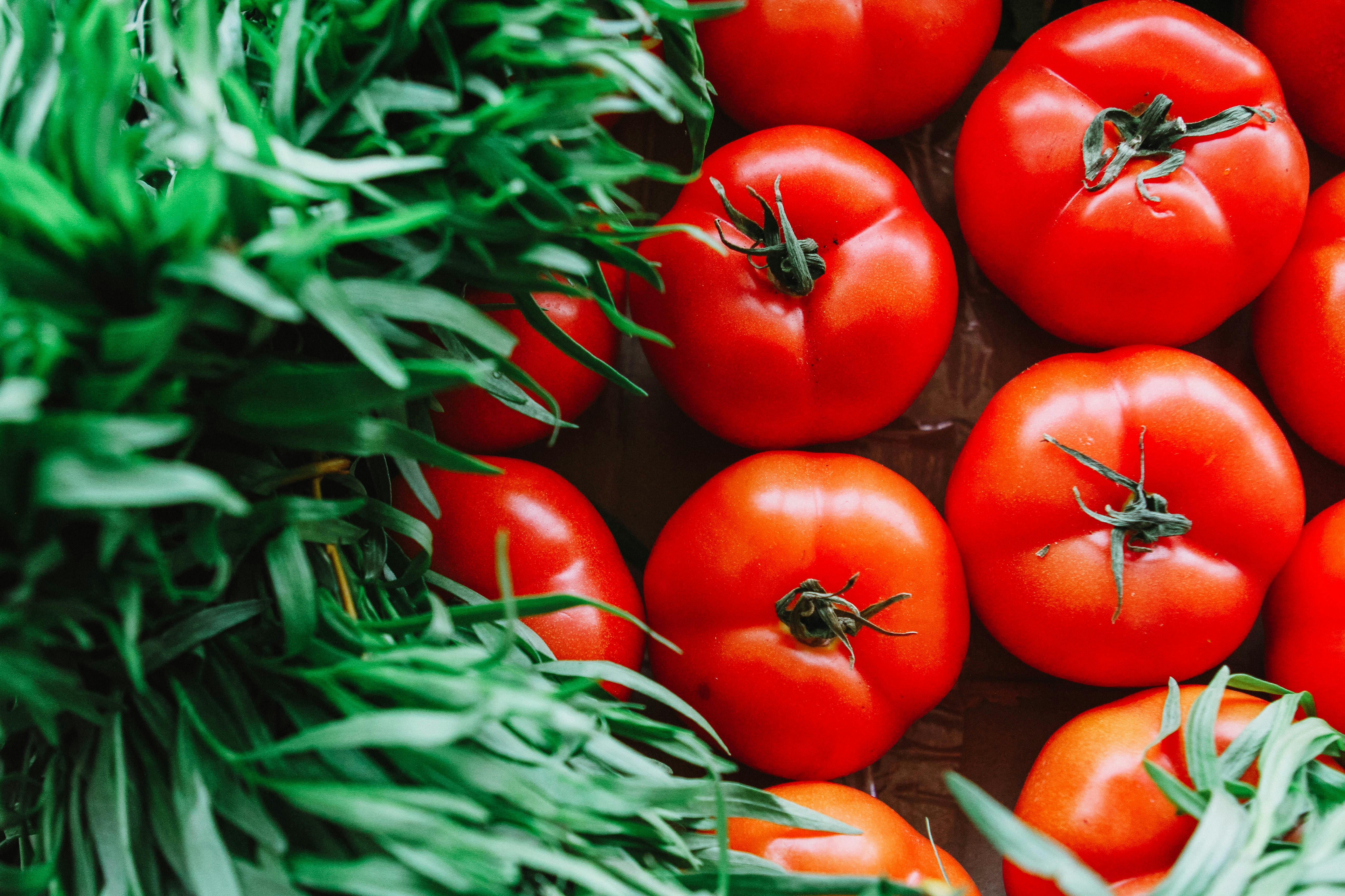 Tomato
